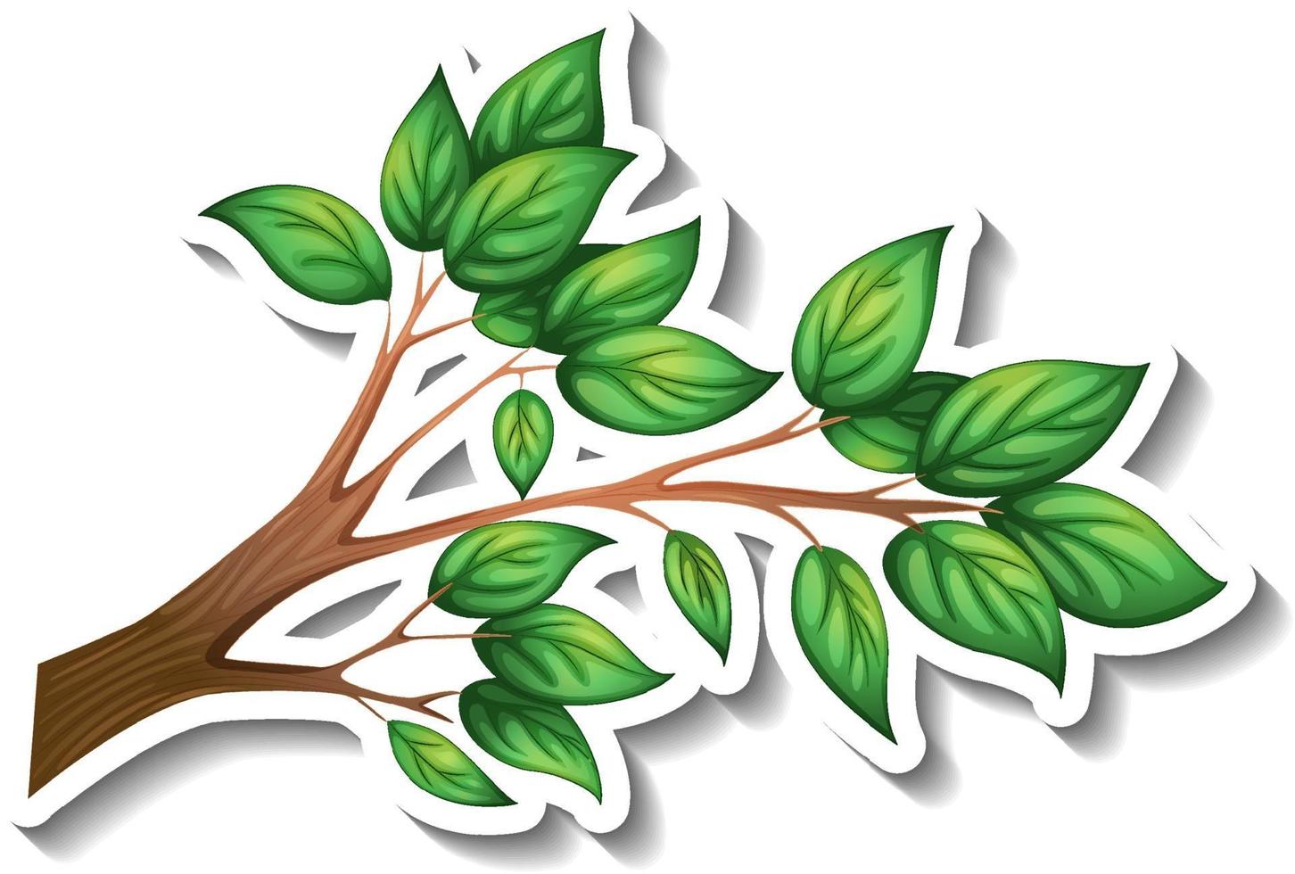 Tree branch with green leaves sticker on white background vector