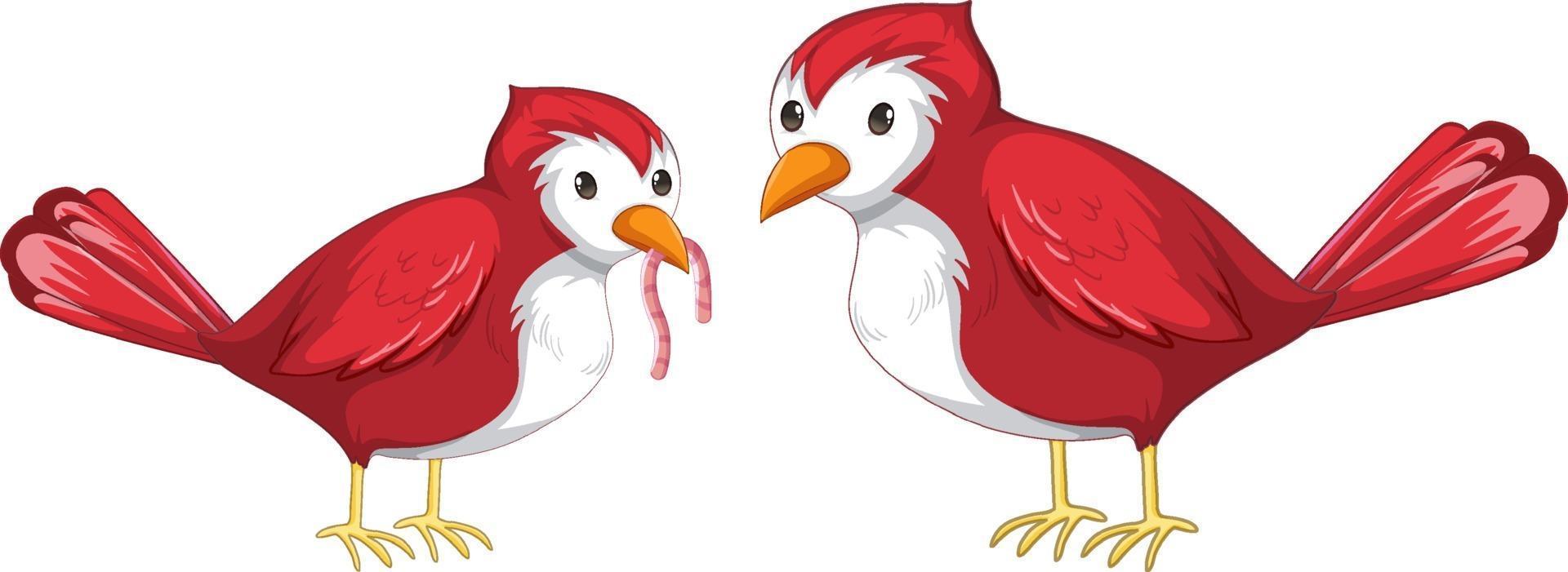 Two red bird catching worm in cartoon style isolated vector