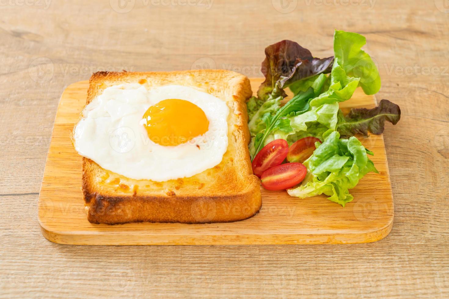 Bread toasted with cheese and fried egg photo