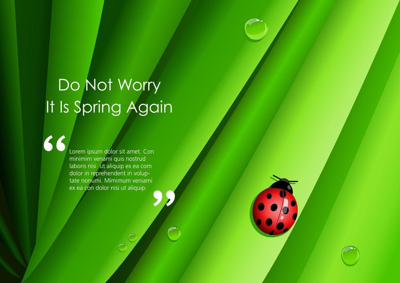 Graphic illustration of a lady bug on green leaves vector