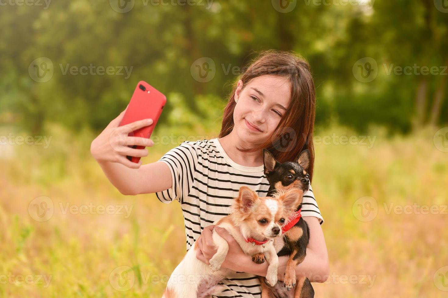 A young girl makes a selfie on a smartphone with dogs in nature photo