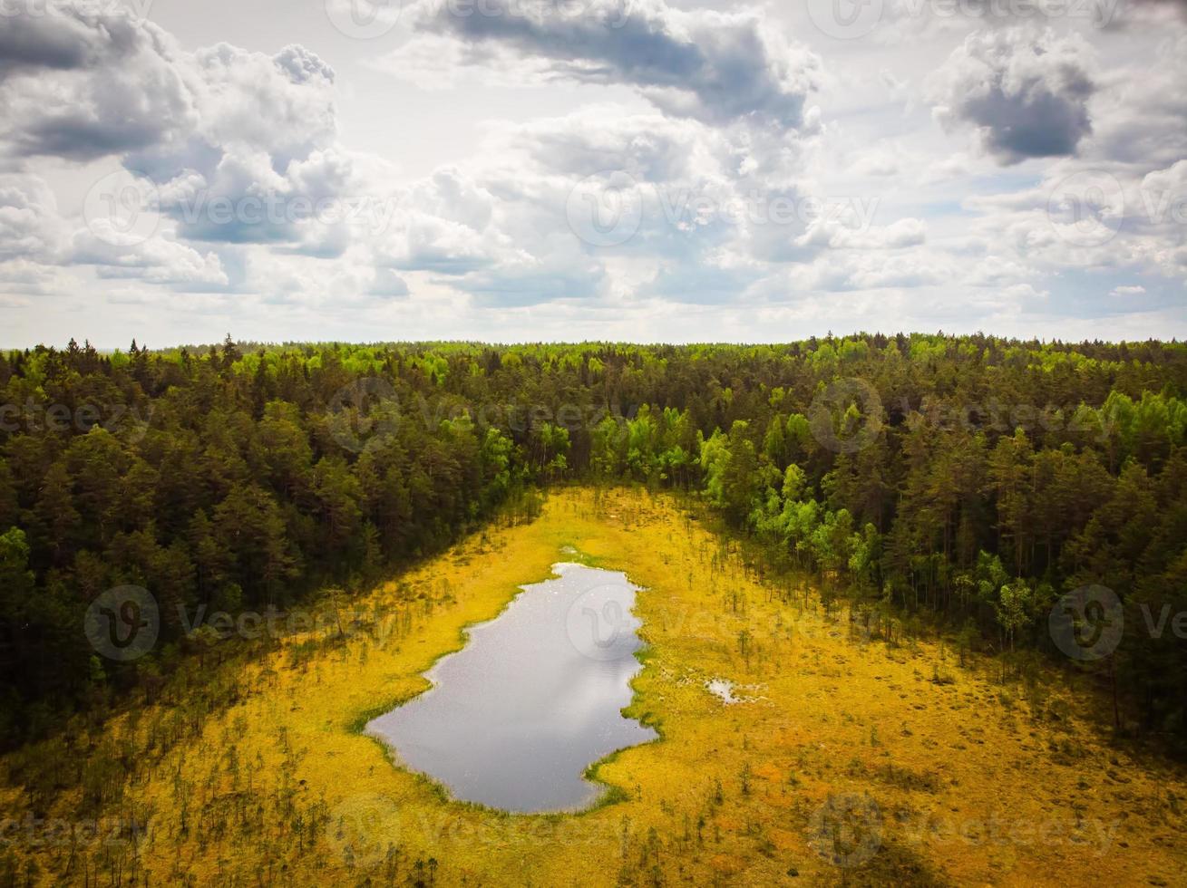 Aerial vertical view Niauka lake in Kurtuvenai regional park, Lithuania countryside nature and flora photo