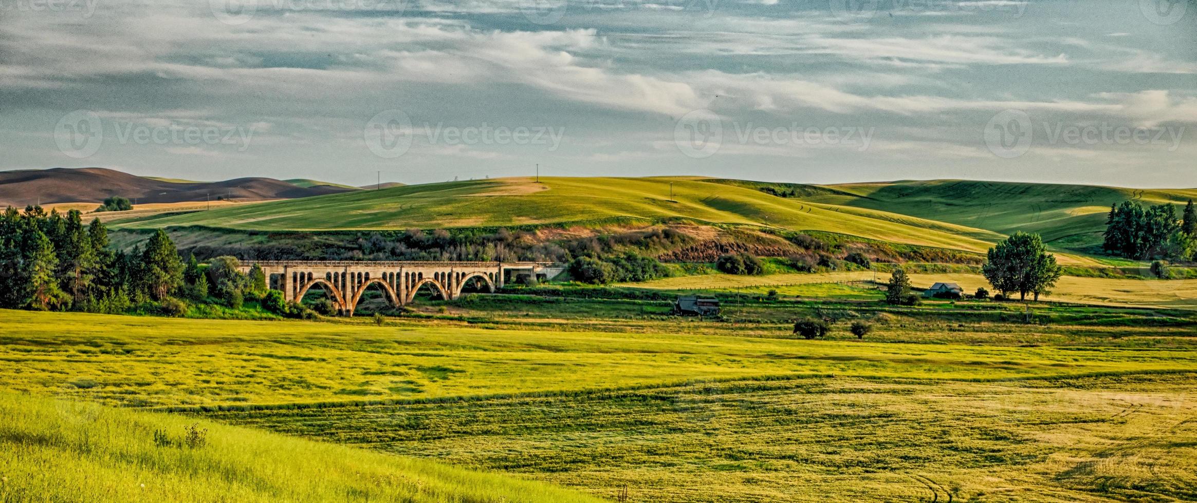 magical wheat farm fields in palouse washington photo