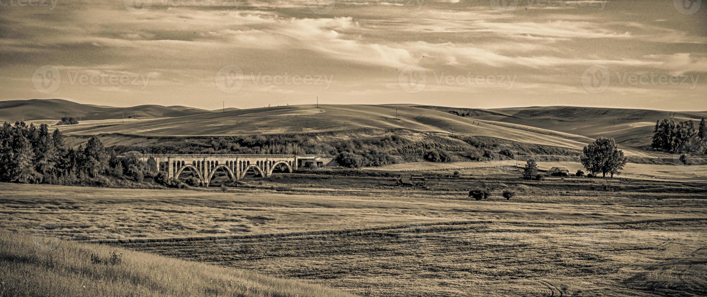 campos de cultivo de trigo mágico en palouse washington foto