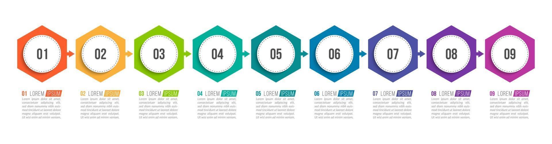 Vector Infographic Design with Icons and 9 Options or Steps