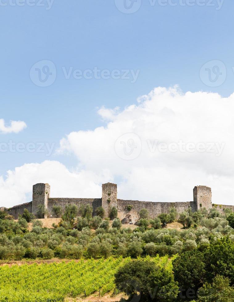 viñedo en toscana foto