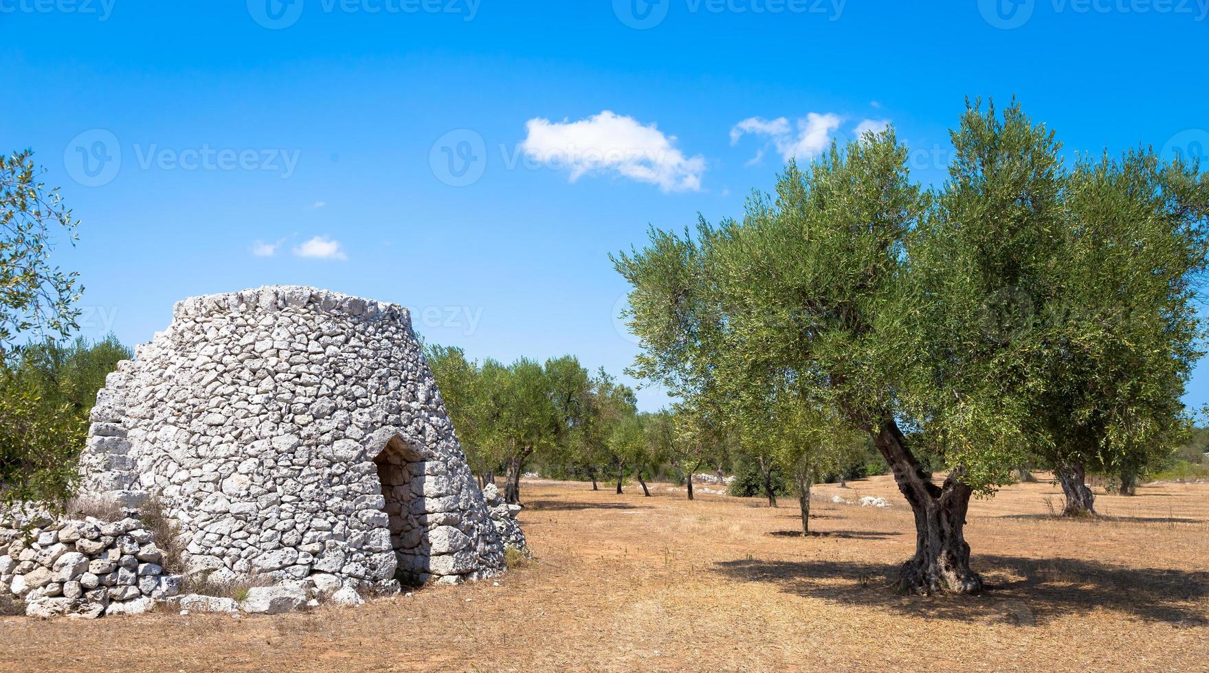 región de puglia, italia. almacén tradicional de piedra foto