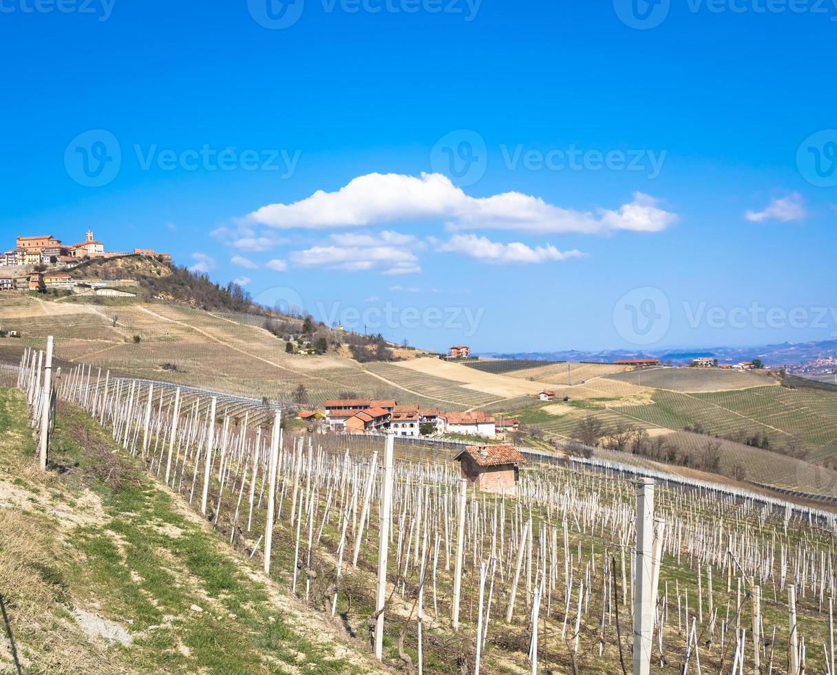 Barolo and Barbaresco countryside in Piedmont region photo