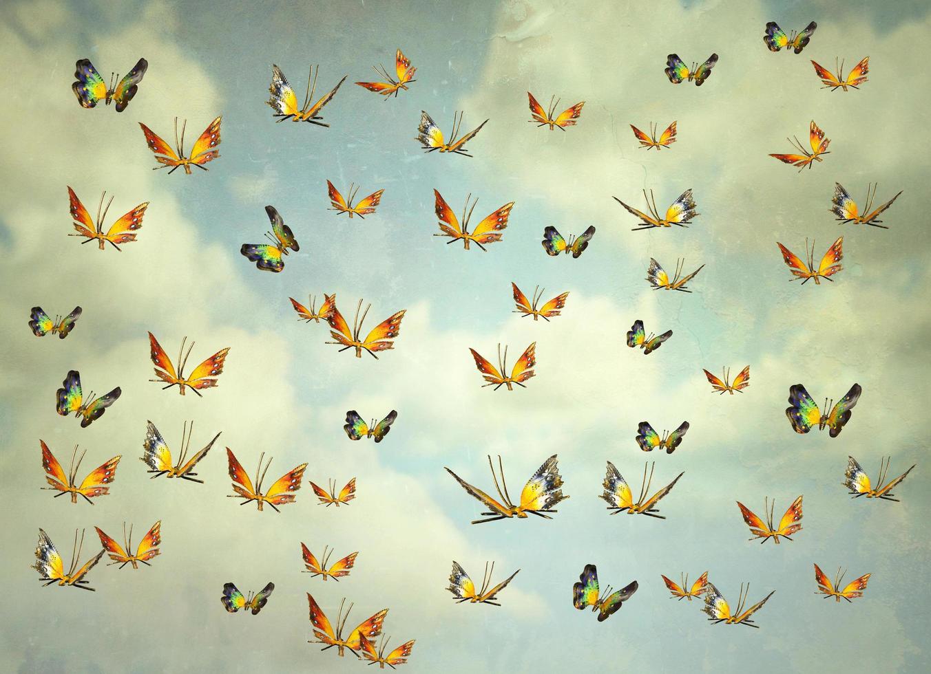 Butterflies in the sky photo