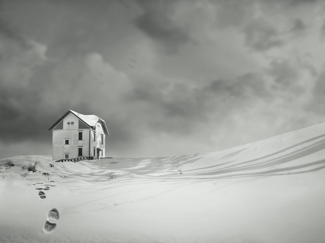 Alone in the Snow black and white photo