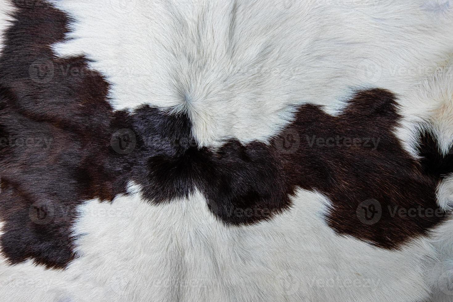 brown Cow skin coat with fur black white and brown spots photo