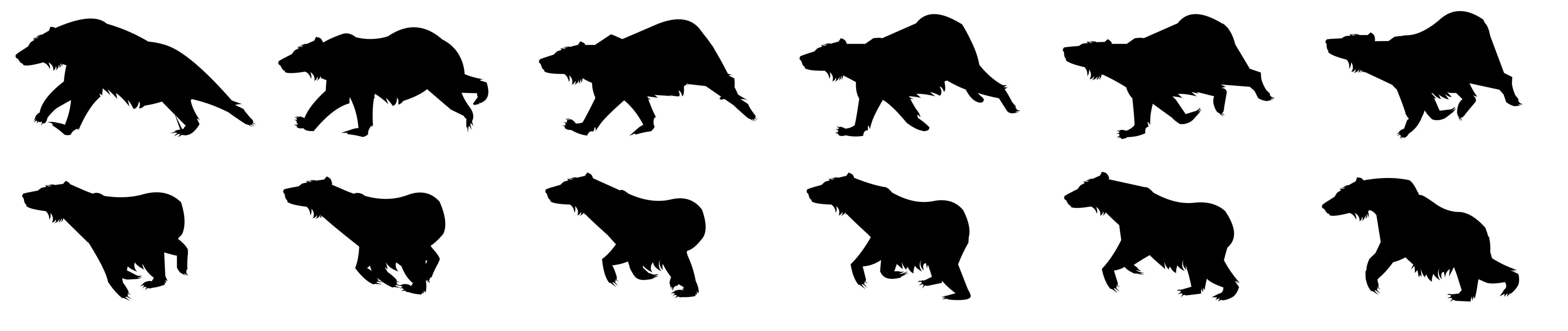 Bear Run Cycle vector