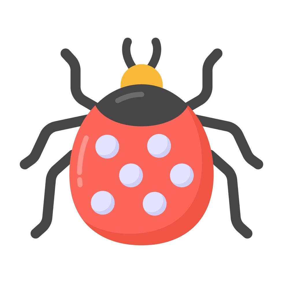 Ladybug and Insects vector