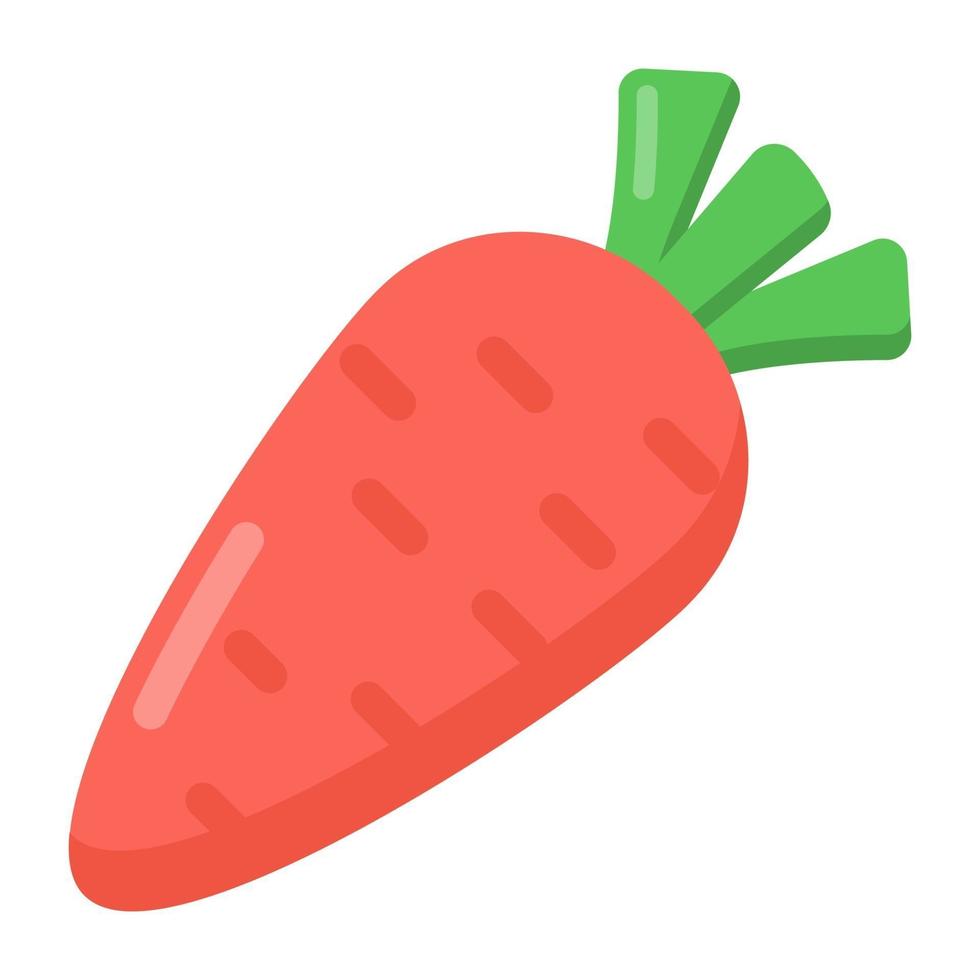 Carrot and Organic food vector