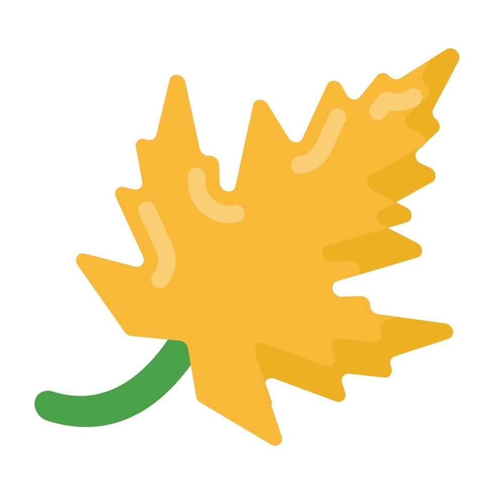 Dry Autumn Leaf vector