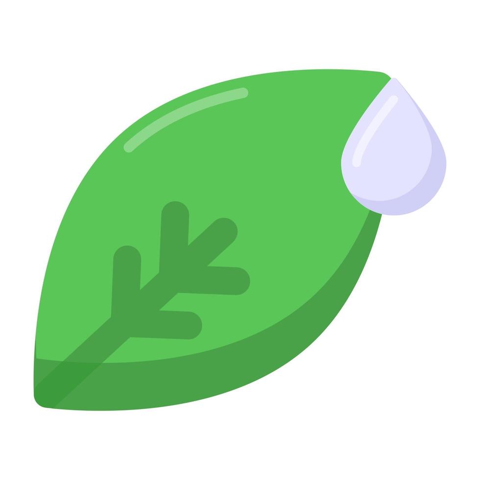 Dew Drop on Plant vector