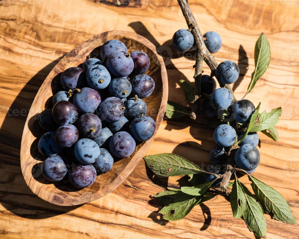 fruits of the blackthorn bush photo