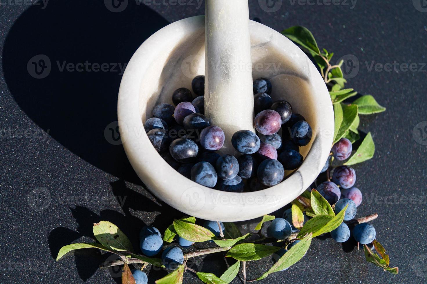 fruits of the blackthorn bush photo