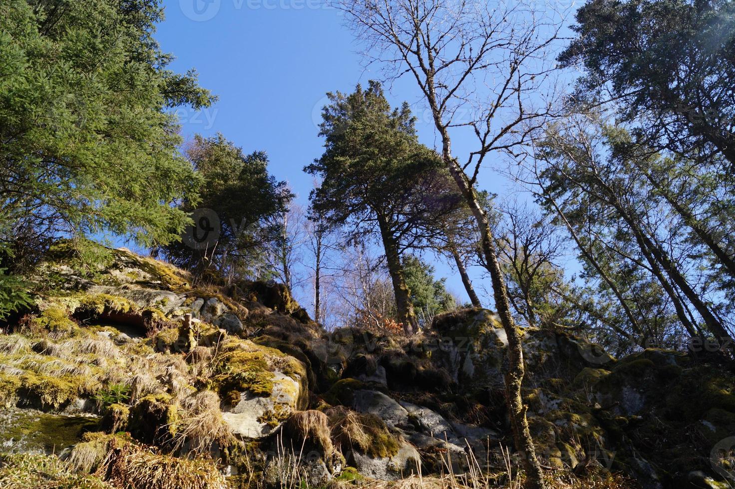 Bergen from the Perspective of Mount Floyen photo