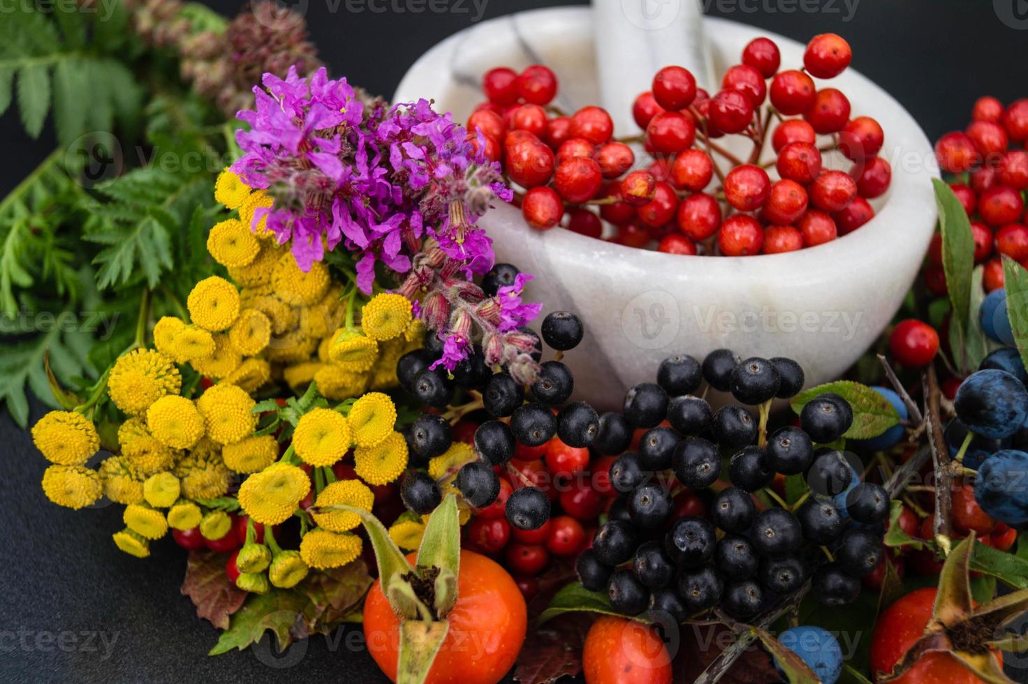 Medicina alternativa con hierbas farmacéuticas frutas y bayas. foto