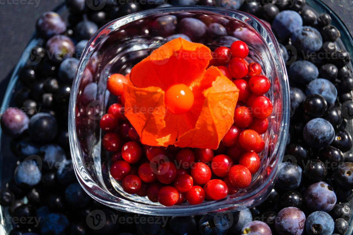 Alternative Medicine with pharmaceutical herbs fruits and berries photo