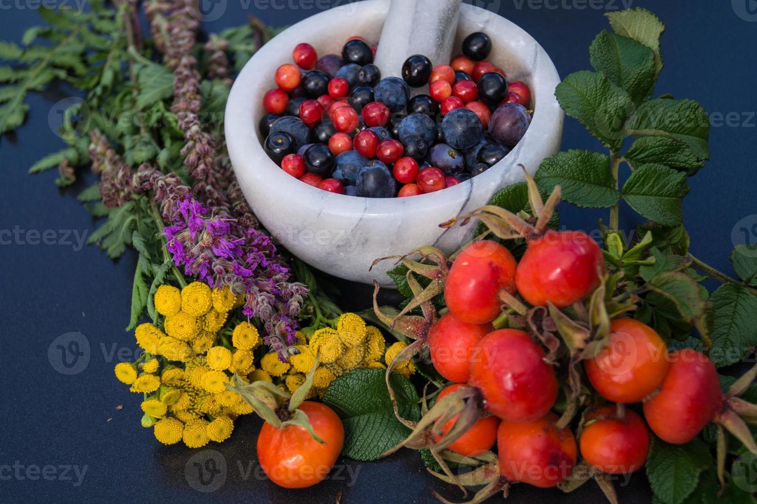 Medicina alternativa con hierbas farmacéuticas frutas y bayas. foto