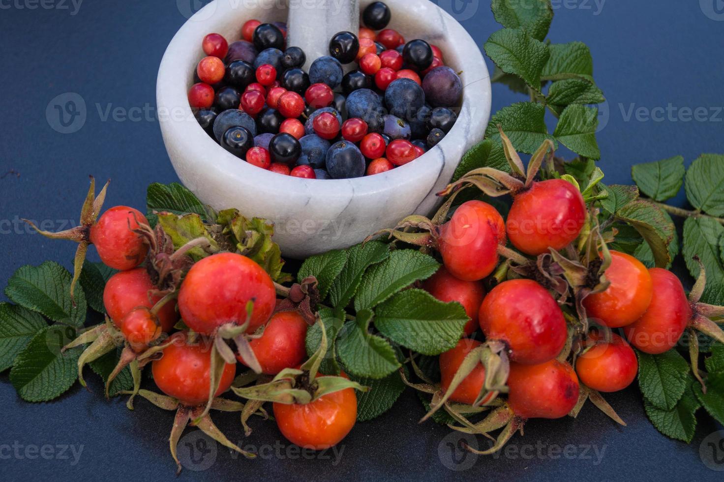 Medicina alternativa con hierbas farmacéuticas frutas y bayas. foto