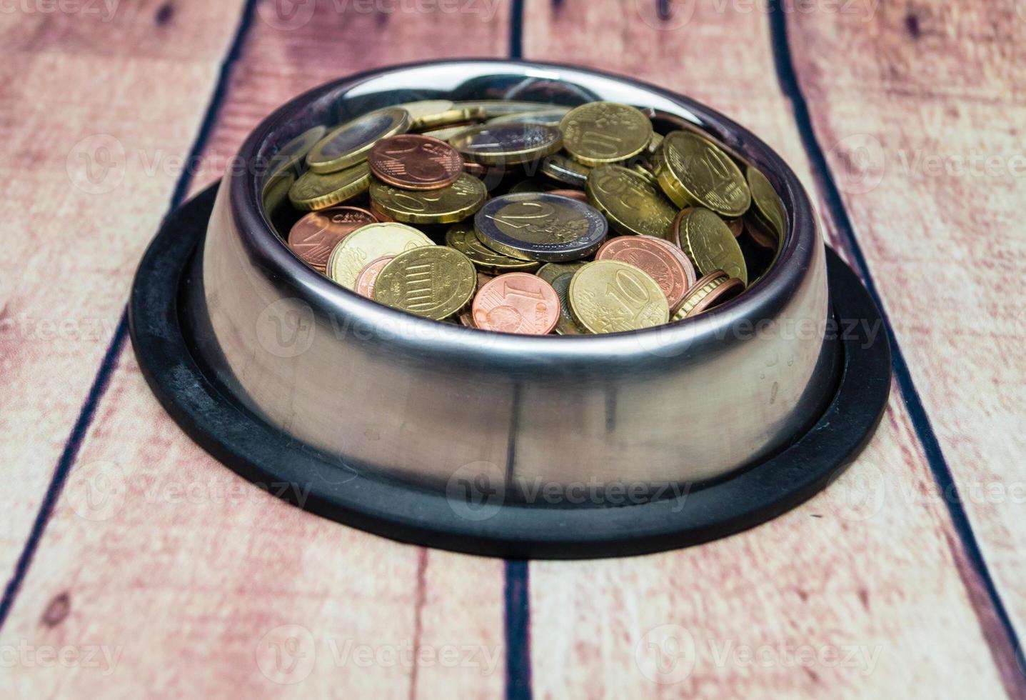 What are the costs of a pet photo