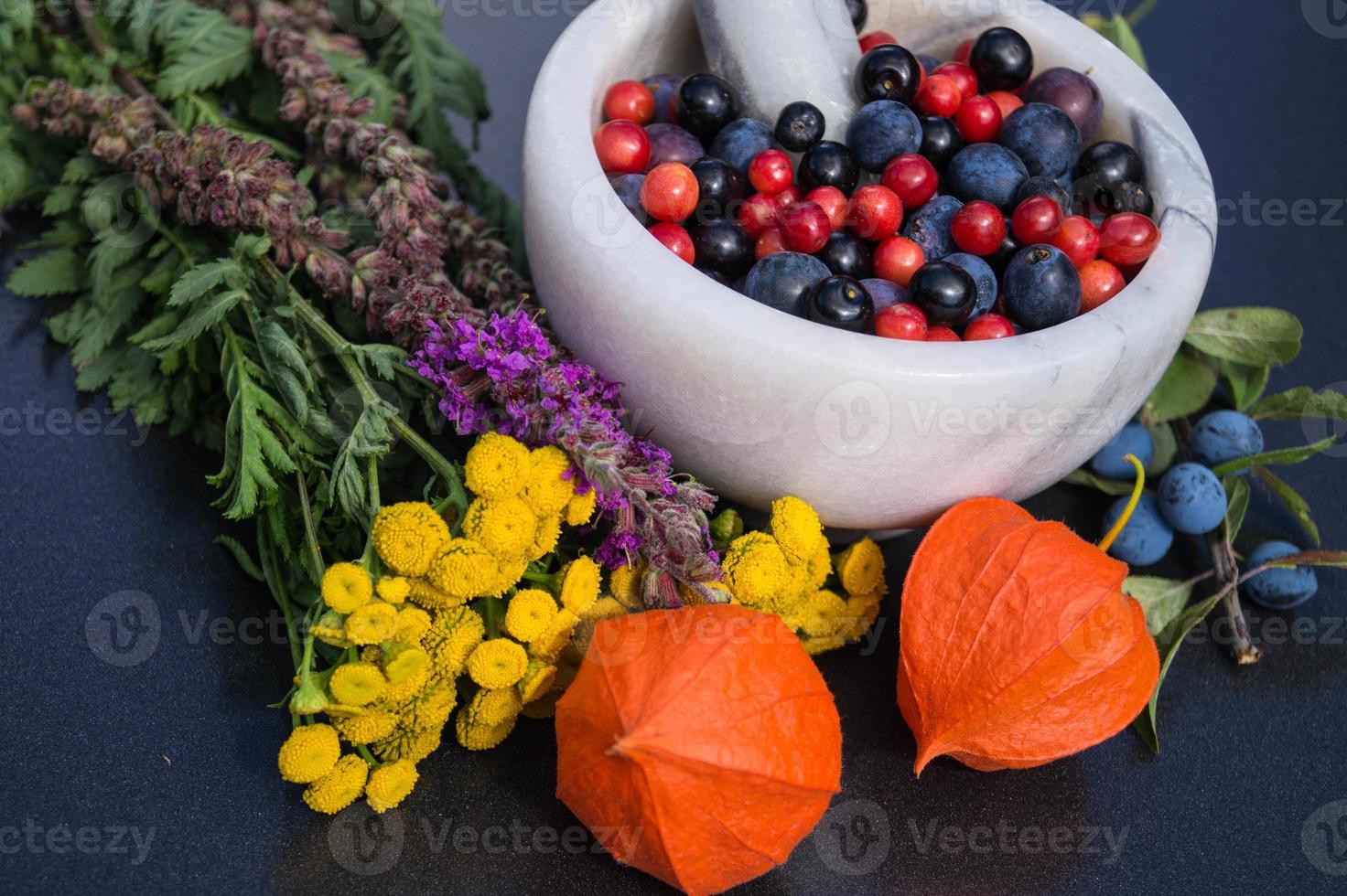 Medicina alternativa con hierbas farmacéuticas frutas y bayas. foto