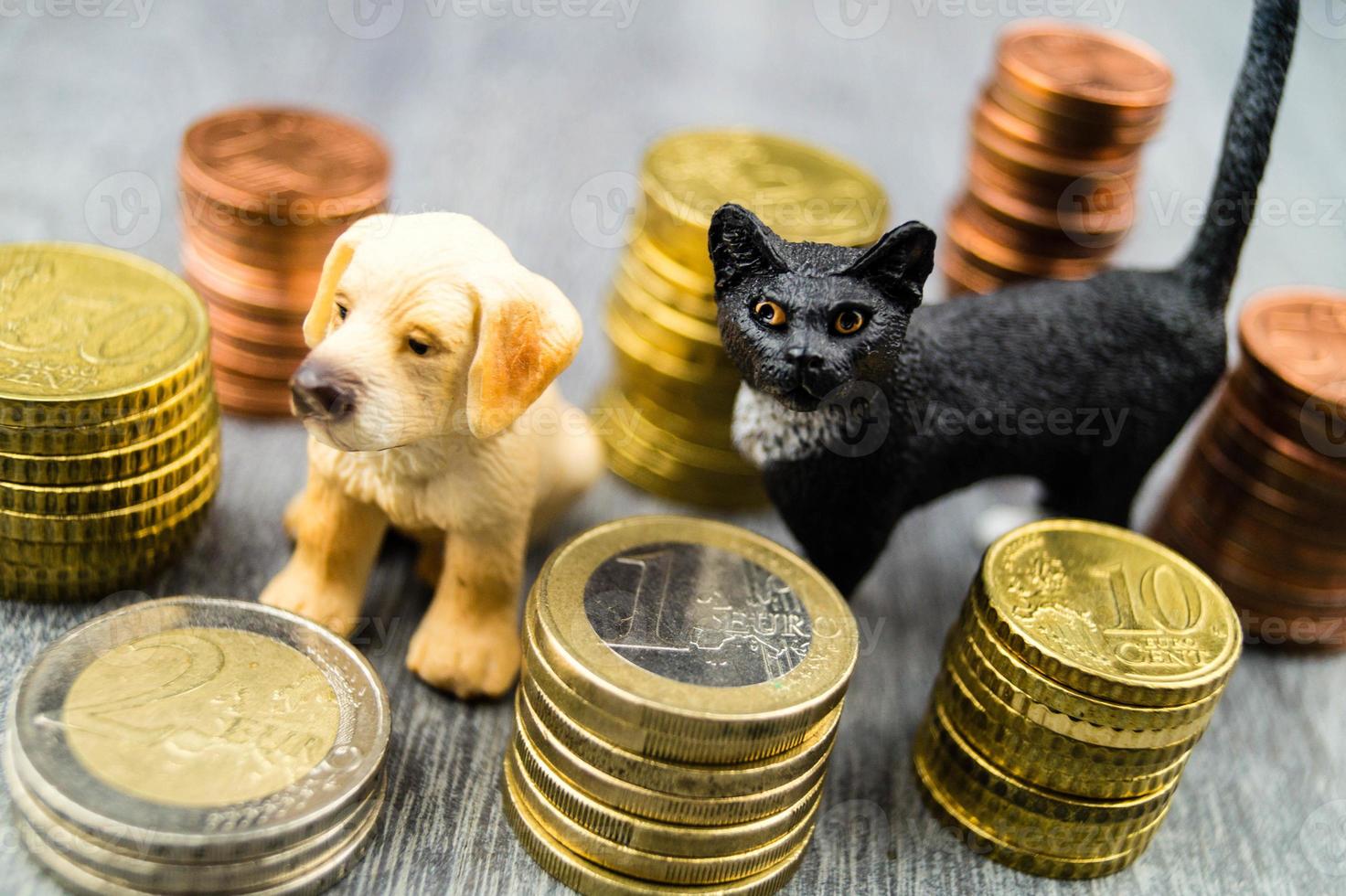 What are the costs of a pet photo