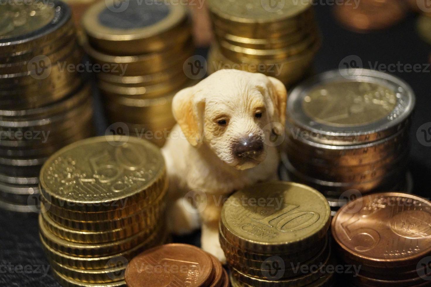 cuales son los costos de una mascota foto