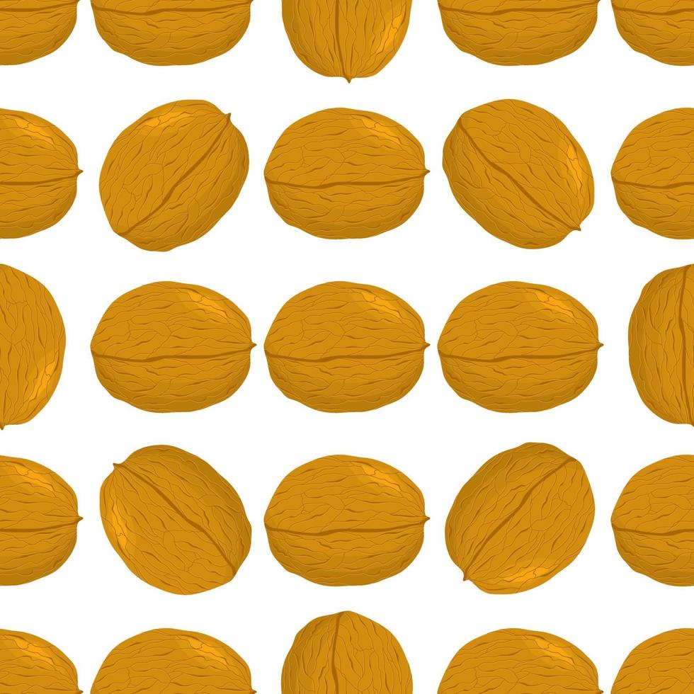 Illustration on theme big pattern identical types walnut vector