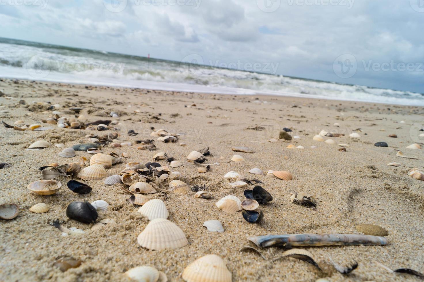 en la playa de blavand ho dinamarca foto