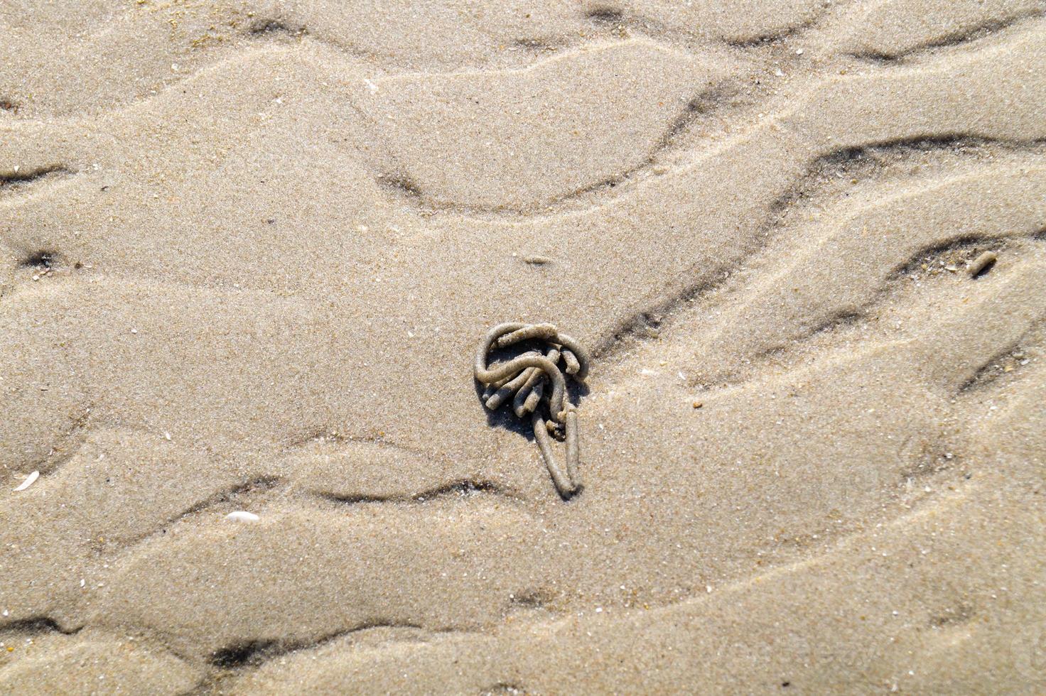 en la playa de blavand ho dinamarca foto