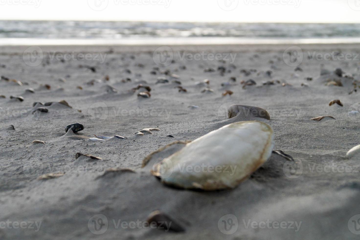 en la playa de blavand ho dinamarca foto