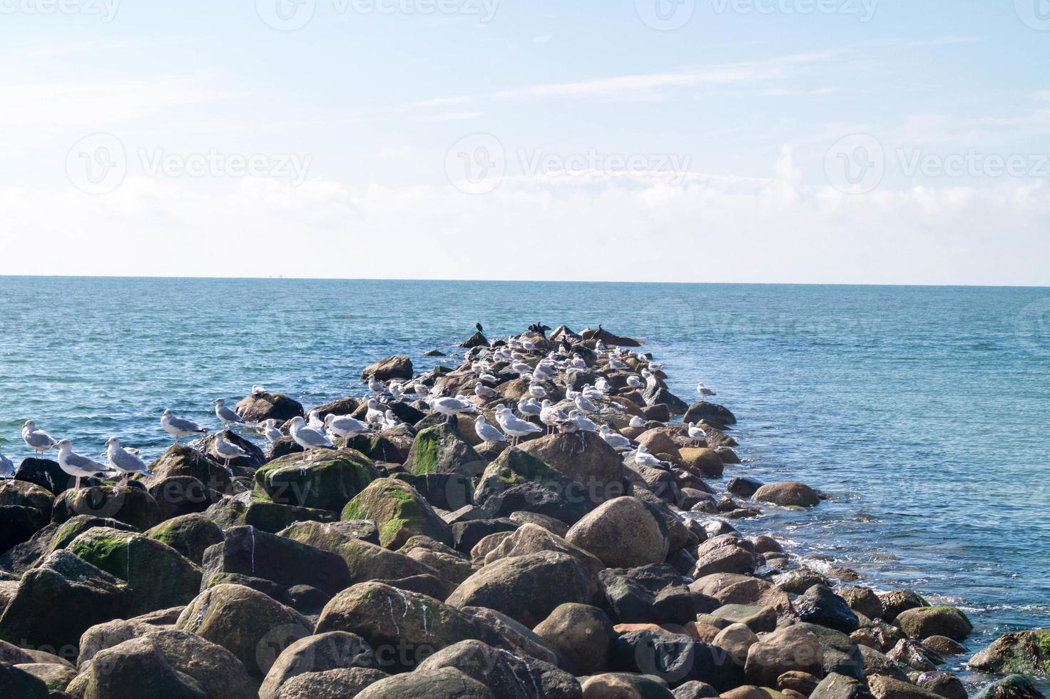 en la playa de blavand ho dinamarca foto