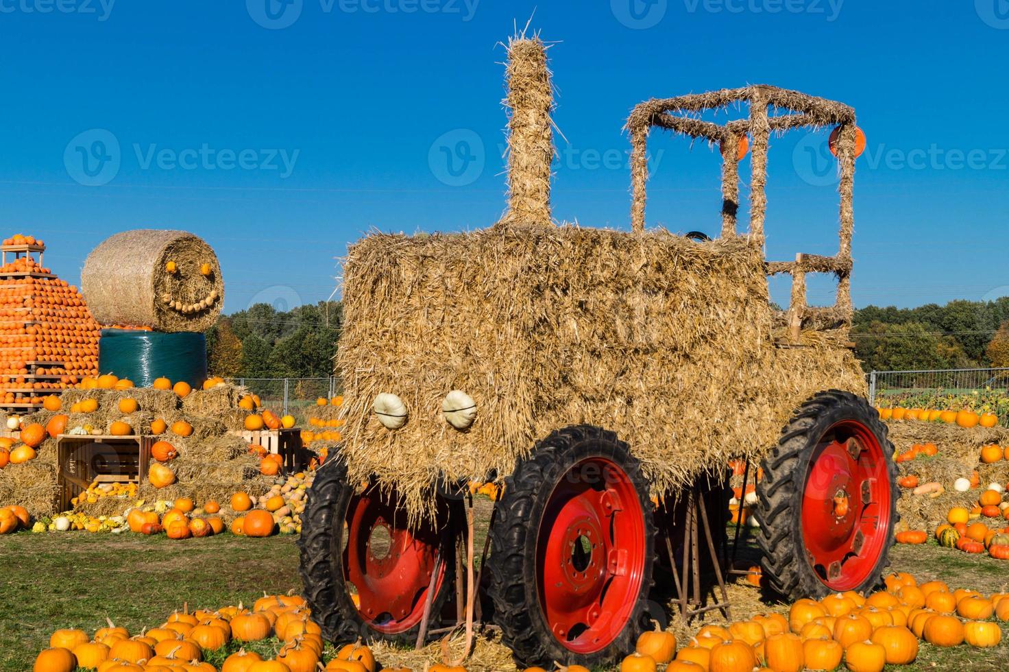 Pumpkins on a Farmers Market photo