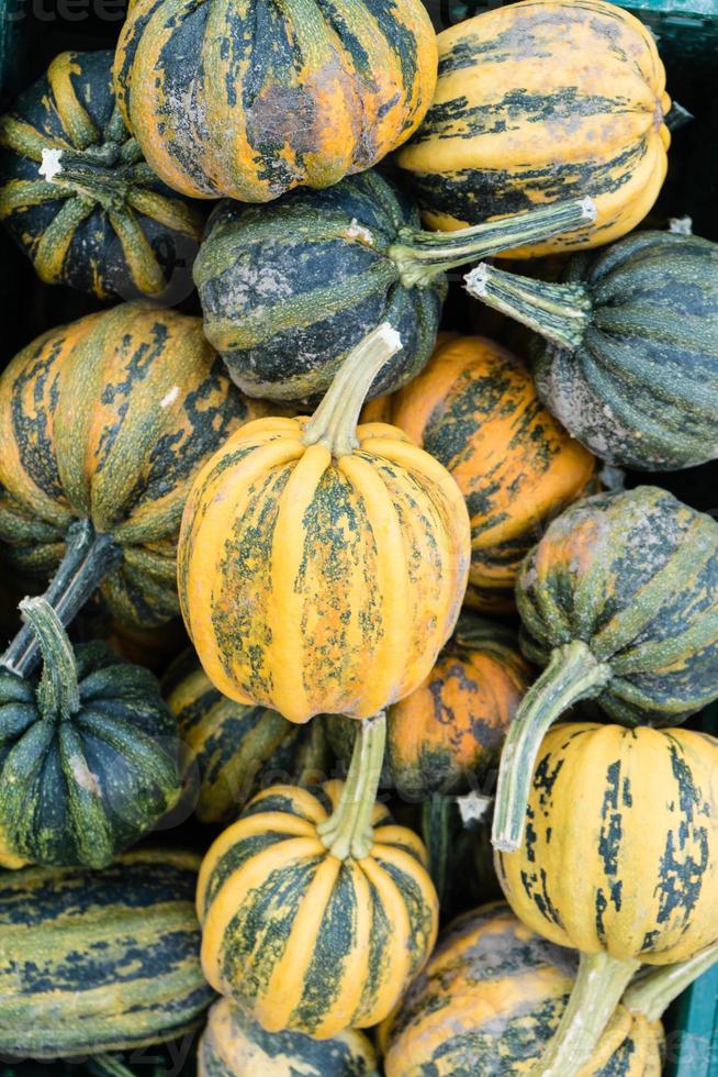 Pumpkins on a Farmers Market photo