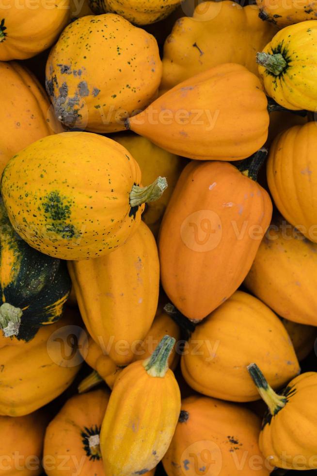 Pumpkins on a Farmers Market photo