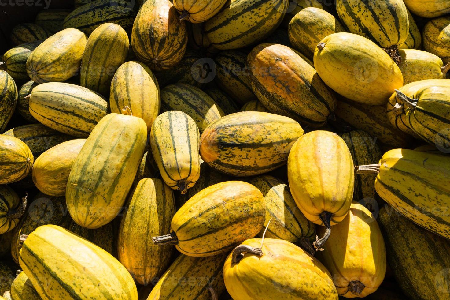 Pumpkins on a Farmers Market photo