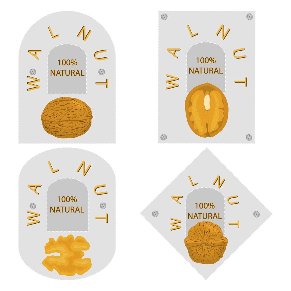 Illustration on theme big set different types walnut in nutshell vector