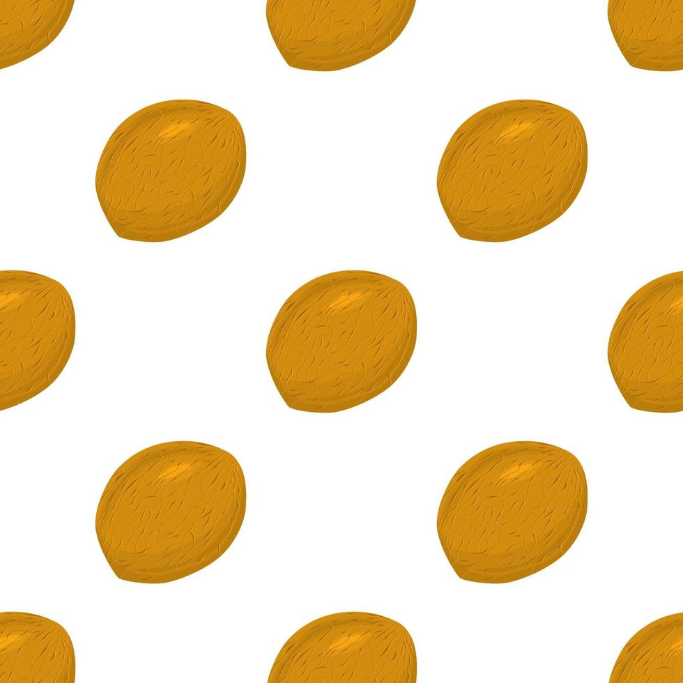 Illustration on theme big pattern identical types walnut vector