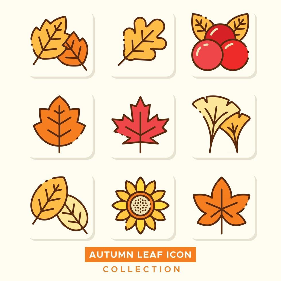 colección de iconos de hojas de otoño vector