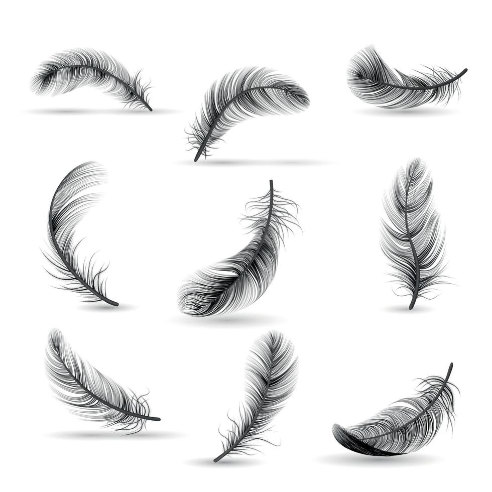 Realistic Feather Black Icon Set Vector Illustration