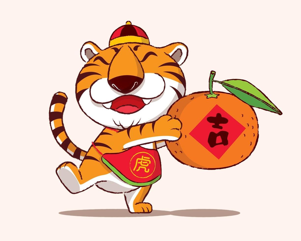 Chinese New Year. Cartoon cute tiger holding big tangerine mandarin vector