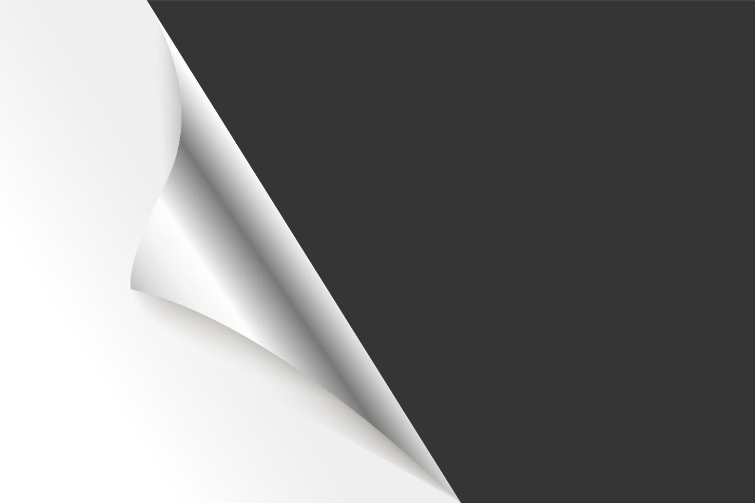 Sheet of curled Silver Metallic paper background. vector