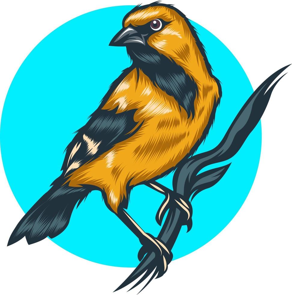 bird illustration with solid color vector