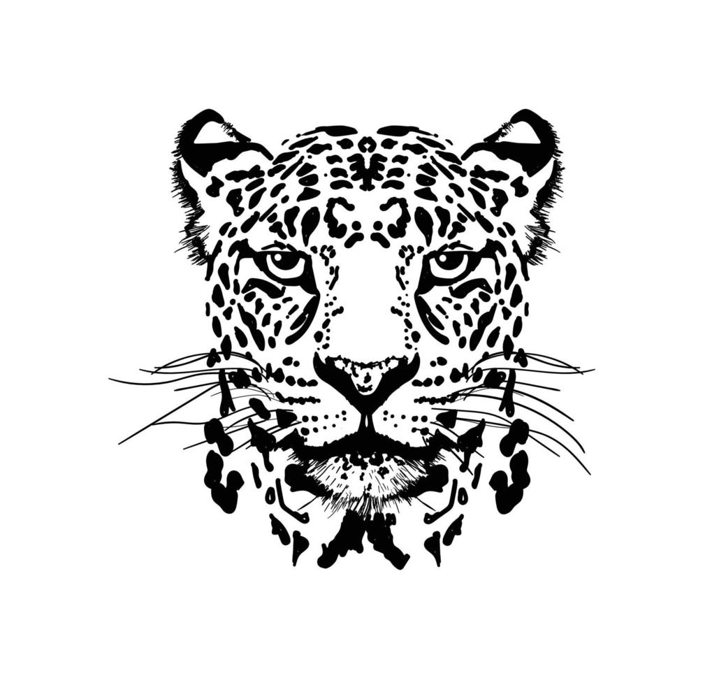 leopard head  graphics vector