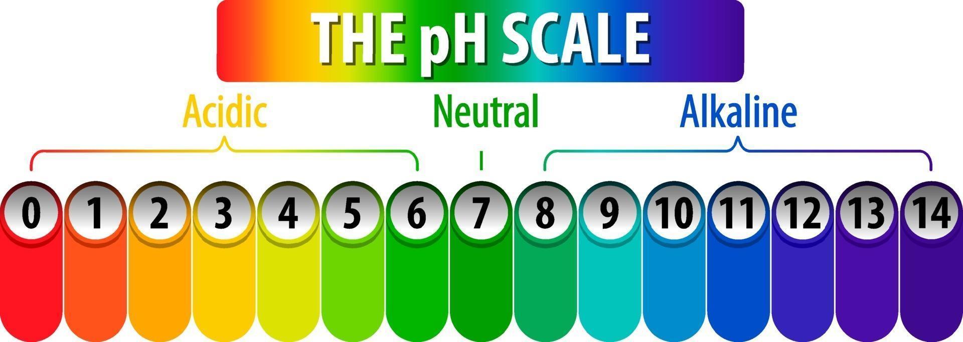 el diagrama de escala de ph sobre fondo blanco vector