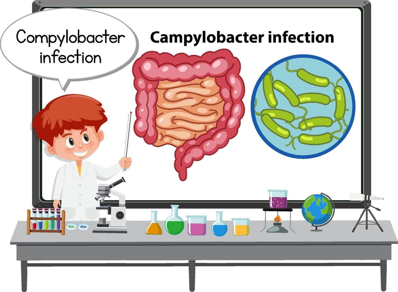 Young doctor explaining Campylobacter infection vector